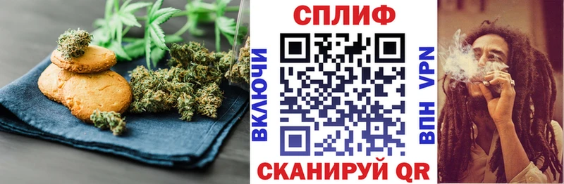 Купить закладки  Электросталь  Canna-Cookies конопля 